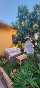 Zahrada ubytování MARRAKECH פלא - PELEH - Queit place 3 km from the beach of Cesarea