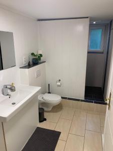 ein weißes Badezimmer mit Toilette und Waschbecken in der Unterkunft Traumhafter Seeblick mit großer Terrasse in Pogeez