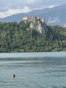 una persona nadando en un cuerpo de agua con una casa en una montaña en Blue Sky Apartment, en Bled
