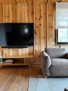a living room with a couch and a television at Checz Swornegacie - Dom wakacyjny nad jeziorem Karsińskim in Swornegacie 
