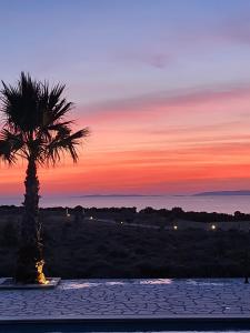 a palm tree in front of a sunset at Villa Melody Novalja in Novalja