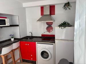 kuchnia z pralką i mikrofalówką w obiekcie APARTAMENTO CALMA EN EL CENTRO w mieście Conil de la Frontera