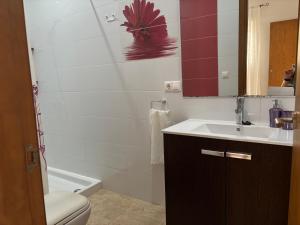 łazienka z umywalką, toaletą i lustrem w obiekcie APARTAMENTO CALMA EN EL CENTRO w mieście Conil de la Frontera