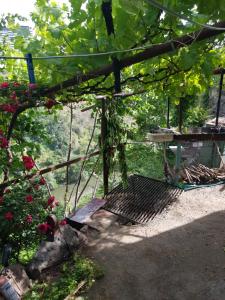 Una pérgola con una mesa y un ramo de flores. en Вишапаках, en Aghk'ilisa 4 fotos más
