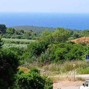 a car parked on a road next to trees at Apartments Elena & Damir in Vis