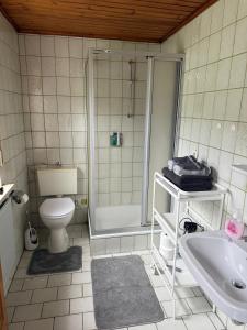 a bathroom with a shower and a toilet and a sink at Ferienwohnung Bayerischer Wald in Zwiesel