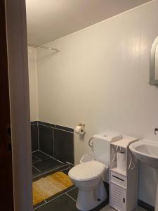a bathroom with a white toilet and a sink at Stara Szkoła in Krempna +40 photos