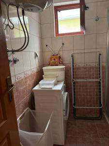 een kleine badkamer met toilet en wastafel bij Apartman Petar - Portonovi Đenovići in Ðenovići +15 foto's