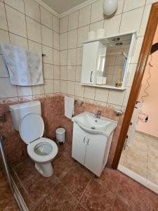 een badkamer met toilet en wastafel bij Apartman Petar - Portonovi Đenovići in Ðenovići