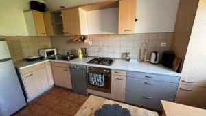 Una cocina o cocineta en Apartmani Mamić