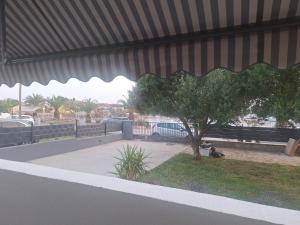 Fotografie z fotogalerie ubytování Apartman Damir v destinaci Bibinje