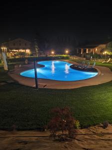 阿西西Agriturismo - La Campagna di San Francesco的游泳池周围设有椅子