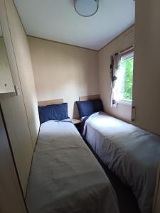 two beds in a small room with a window at The Green - Summer Breeze in Crantock +14 photos