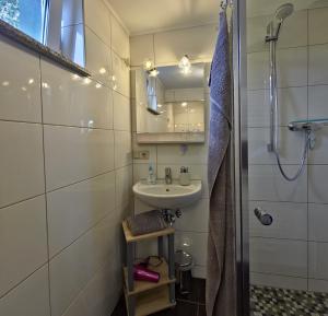 un bagno con lavandino e doccia di Fischstuebchen Neeberg a Krummin Altre 56 foto