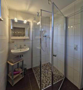 un bagno con doccia e lavandino di Fischstuebchen Neeberg a Krummin