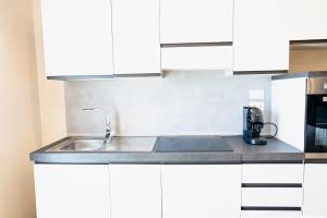 Kuchyň nebo kuchyňský kout v ubytování T&L-Home + 19 fotografií