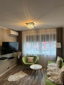 a living room with a green couch and a tv at Maria apartment with Sauna Otta in Otta