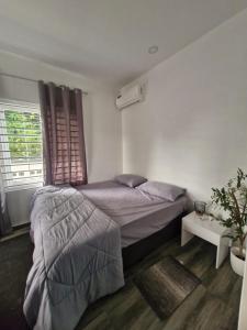 a bedroom with a bed and a window at Cozy haven apartments in Paramaribo