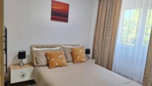 ein Schlafzimmer mit einem Bett mit Kissen und einem Fenster in der Unterkunft Argeş Central in Curtea de Argeş