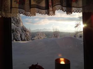 Príroda v okolí apartmánu