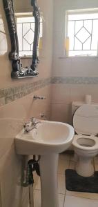 a bathroom with a sink and a toilet and a mirror at 3-Beds Nalaksuites - Selfcatering apartments in Gaborone