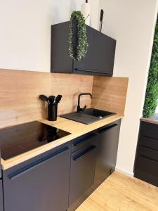 a kitchen with a sink and a counter top at Stilvolles Studio-Apartment im Herzen von Betzdorf in Betzdorf +13 photos