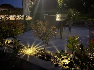 Ein Garten an der Unterkunft Gianna Apartment Labin