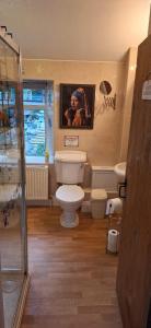 a bathroom with a toilet and a painting on the wall at Moonraker Room with a View with ensuite shower room in St Austell +18 photos