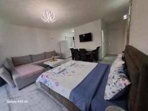 TV a/nebo společenská místnost v ubytování Villa Ain