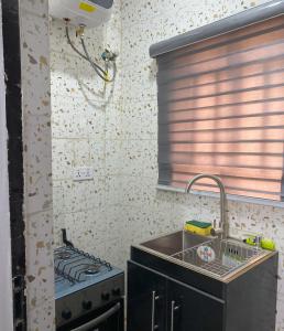 Η κουζίνα ή μικρή κουζίνα στο Grand Island Shortlet 1 +4 φωτογραφίες