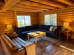 Log Cabin w/ pool, spa, game room, sleeps 20 tesisinde bir oturma alanı