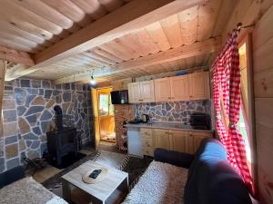 a living room with a couch and a stove at WildBeauty Grebaje in Vusanje