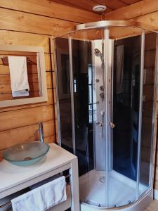 a bathroom with a shower and a sink at Le Thiers chambre d'amis in Auxonne
