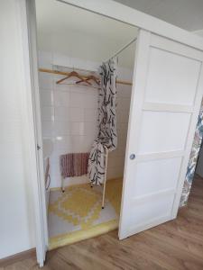 a bathroom with a shower with a door open at Appartement avec jardin à Saint Jean d'Illac in Saint-Jean-dʼIllac +43 photos