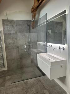 a bathroom with a shower and a sink and a mirror at African Cosy suite in The Hague