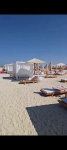 Foto sihtkohas El Alamein asuva majutusasutuse Plage Mountain View galeriist