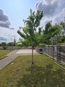 a tree in the grass next to a playground at Grande maison à Vendôme in Vendôme