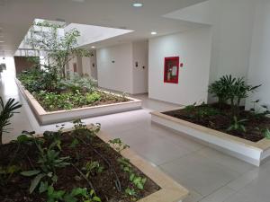 Jardin de l'établissement Baia Kristal - Vacaciones Cartagena Colombia