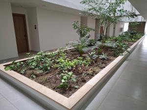 Jardin de l'établissement Baia Kristal - Vacaciones Cartagena Colombia
