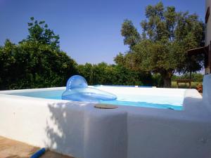 una piscina con un giocattolo a forma di delfino blu dentro di Casa La Poza a Moratalla Altre 45 foto