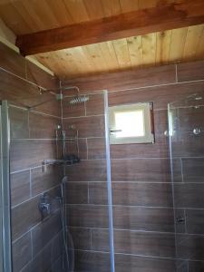 a bathroom with a shower with a glass door at The Heart Cabin in Kidmat Tsvi