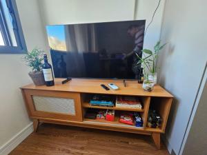 TV a/nebo společenská místnost v ubytování Skyline Moinhos de Vento