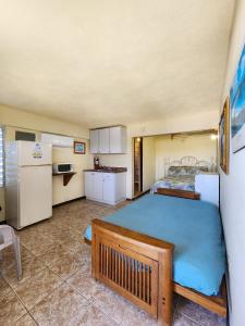 Kuchyň nebo kuchyňský kout v ubytování Casa Robinson Guest House