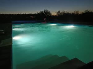 a swimming pool with lights on the water at night at Leśne Niebo in Lubniewice