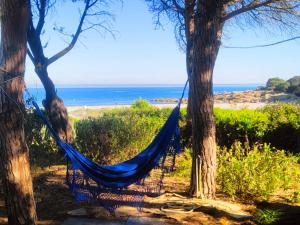 カーラ・リベロットにあるBeachfront villa, right ON SAND!のビーチの隣の2本の木の間に吊るされたハンモック