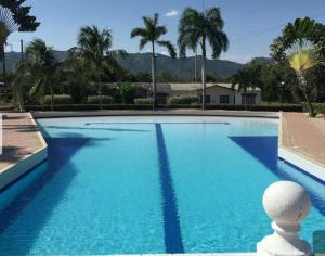 a large blue swimming pool with palm trees and mountains at Casa con Piscina Privada y Jacuzzi in Flandes