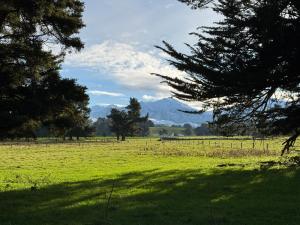 um campo de grama verde com árvores e montanhas em Bellbird Hideaway em Pleasant Valley