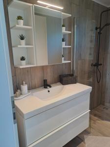 un bagno con lavandino e specchio di Nýlegur sumarbústaður/friðsæld a Mosfellsbær