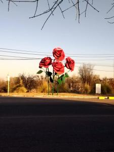 Fotografie z fotogalerie ubytování Casa Felix v destinaci Colonia Las Rosas