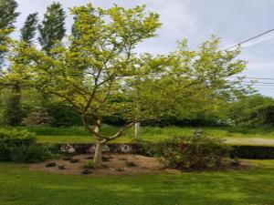 Um jardim no exterior de Spacious 8-Bedroom Chalet, cleaning included